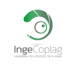inge_png2-removebg-preview inge_png2-removebg-preview